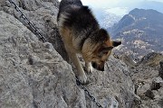 In GRIGNETTA (2177 m) ad anello Cresta Cermenati – Sentiero delle Capre dal Pian dei Resinelli il 27 marzo 2019 - FOTOGALLERY